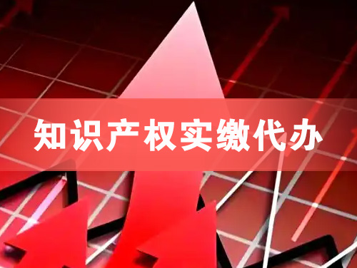 临安知识产权实缴资本代办